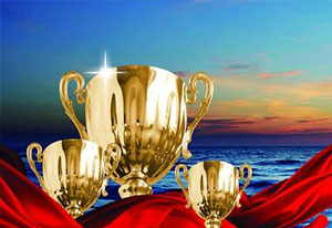 榮譽(yù)資質(zhì)